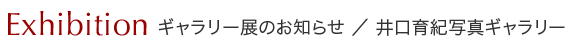 ギャラリー展のお知らせ