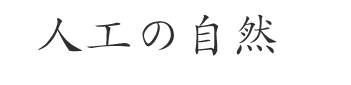 写真とその周辺/人工の自然